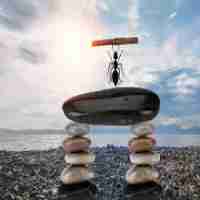 vue 3.0 教​程‍